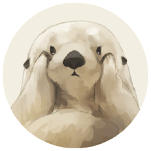 鱼尾纹的预防和祛除