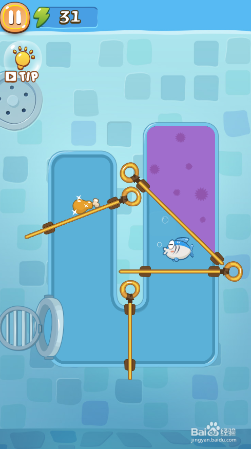 A Wise Fish的Level 12怎样通关?