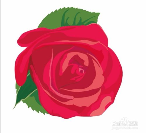 玫瑰花卡通图片设计 百度经验