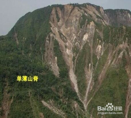 野外如何鉴别滑坡