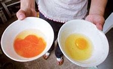 教你你如何鉴别鲜蛋