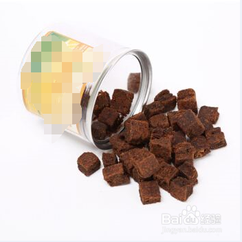 在家饲养小泰迪要注意什么？