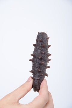 海参怎么看好坏