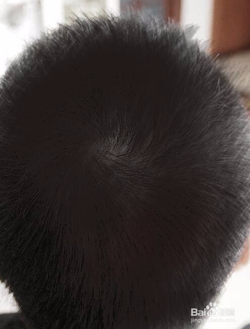 PS怎么把掺杂的白发变成黑发
