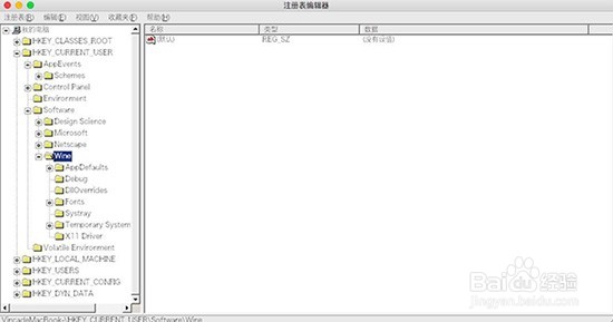 在Mac中 Windows软件的注册表项怎么设置