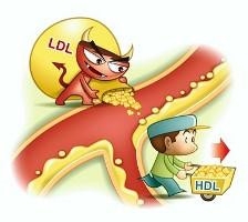 高血脂的治疗与饮食