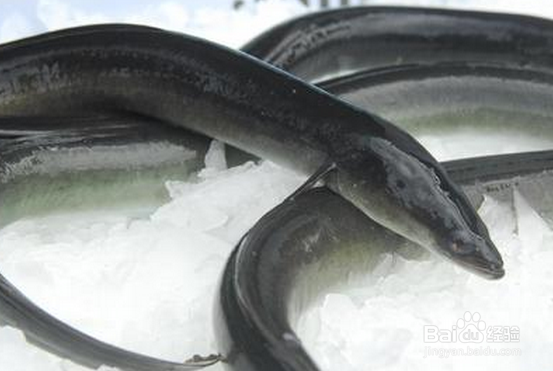 日照吃海鲜好吃又便宜的地方-日照海鲜饭店防宰