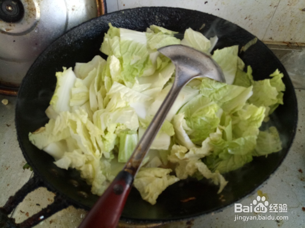 家常版猪肉白菜炖粉条