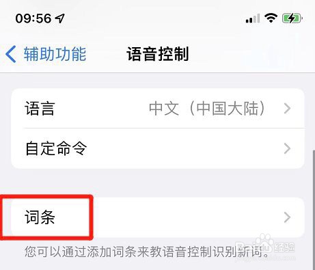 iphone怎么添加语音控制词条