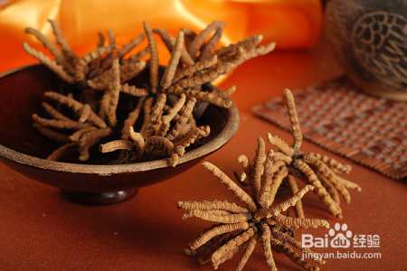 医生眼里的冬虫夏草是什么样的?