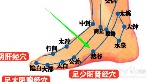 緩解治療咽喉腫痛,消渴,月經不調,楊痿,yin挺,yin癢,移精,足跗腫痛等