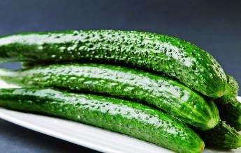 如何选黄瓜和黄瓜有哪些种类?