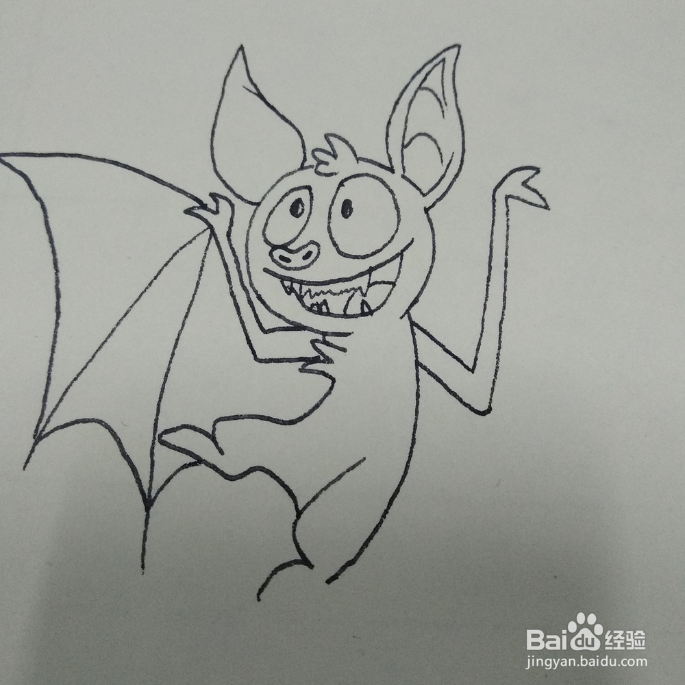 怎么画一只调皮可爱的小蝙蝠卡通儿童简笔画