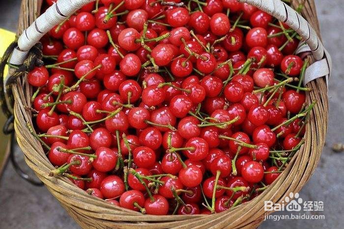 夏季应该吃什么水果,才能美容。