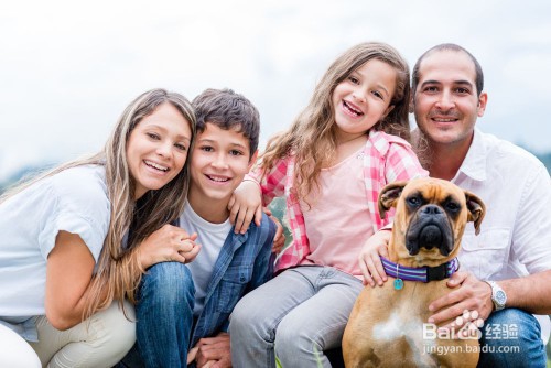 盘点那些中看又实用的儿童玩具