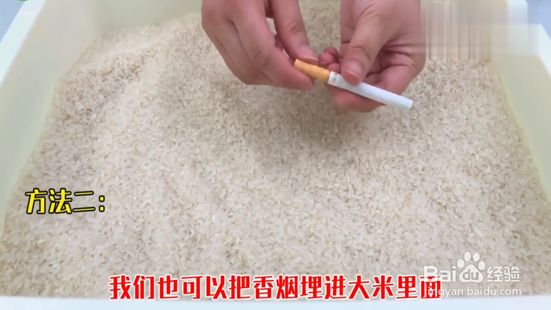 如何防止大米生虫？