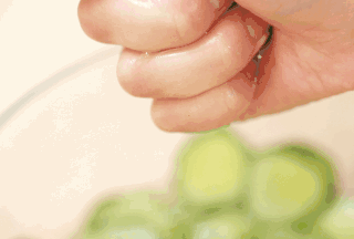 香 脆 炒 黄 瓜 的做法！