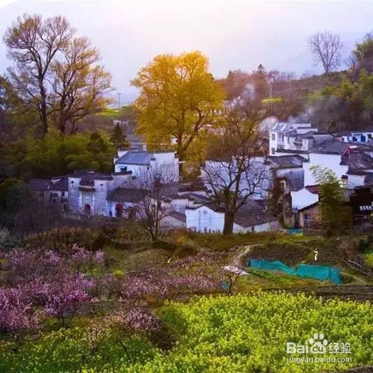 油菜花季节,最适合带家人去的7个地方!