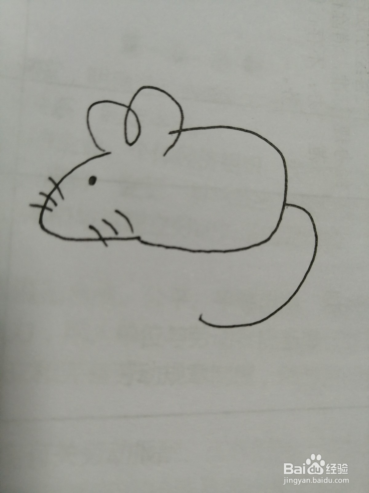 简笔画可爱的小老鼠怎么画