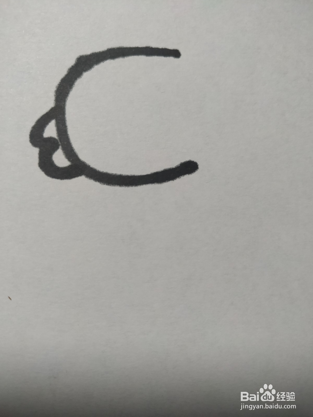 毛驴的简笔画技法11