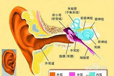 耳朵痛该怎么办 百度经验