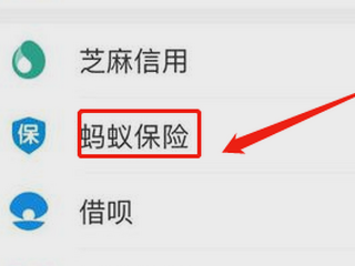 支付宝国泰产险怎么取消？