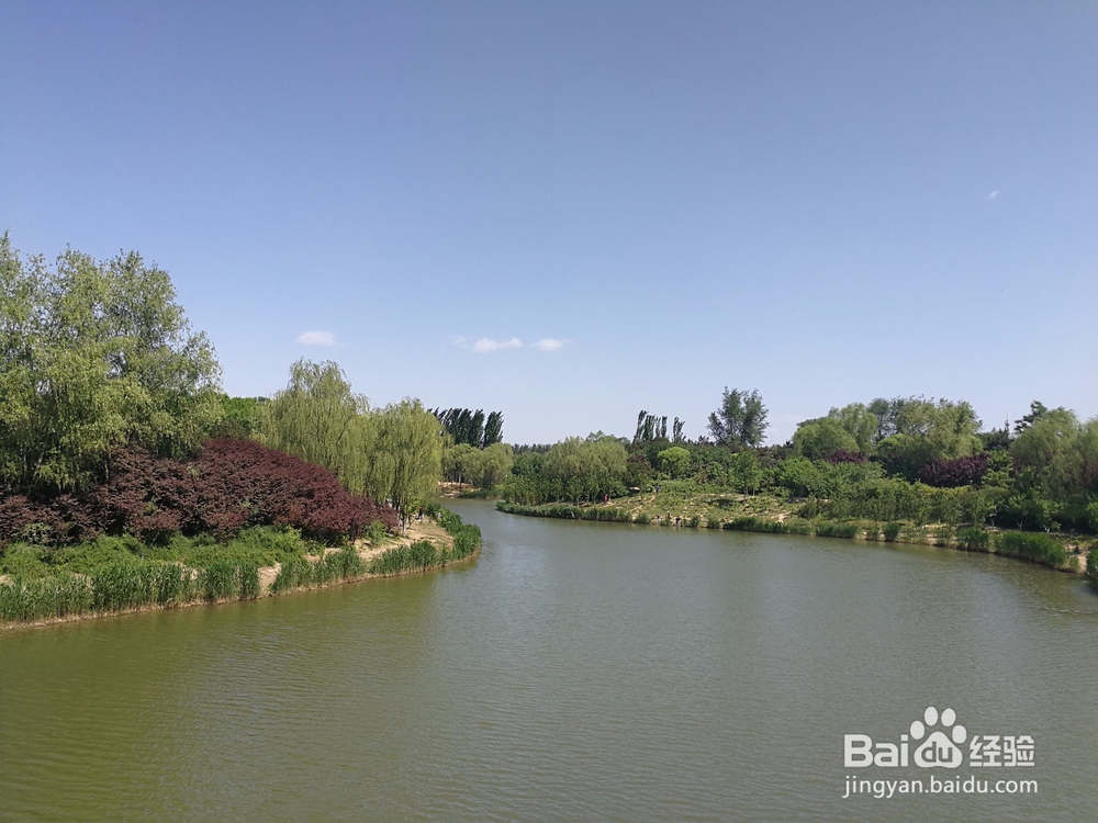 个别员工工资虚高,老板是怎么想的?