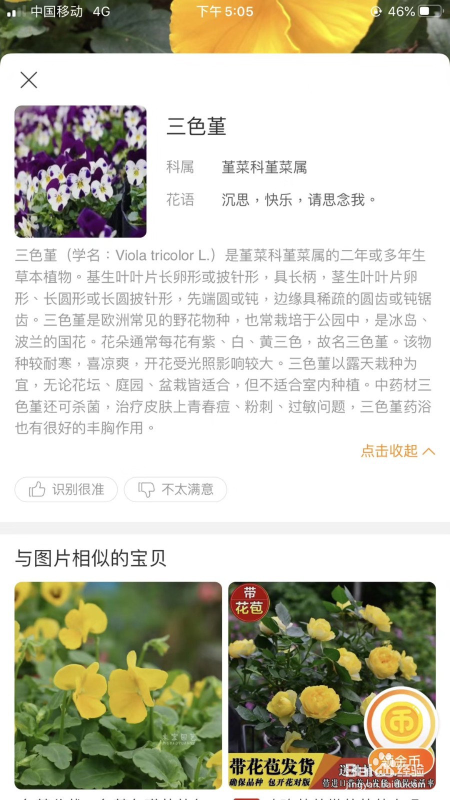 如何快速识别花草