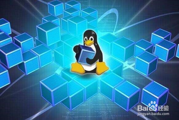 Linux系统高树攀登之路