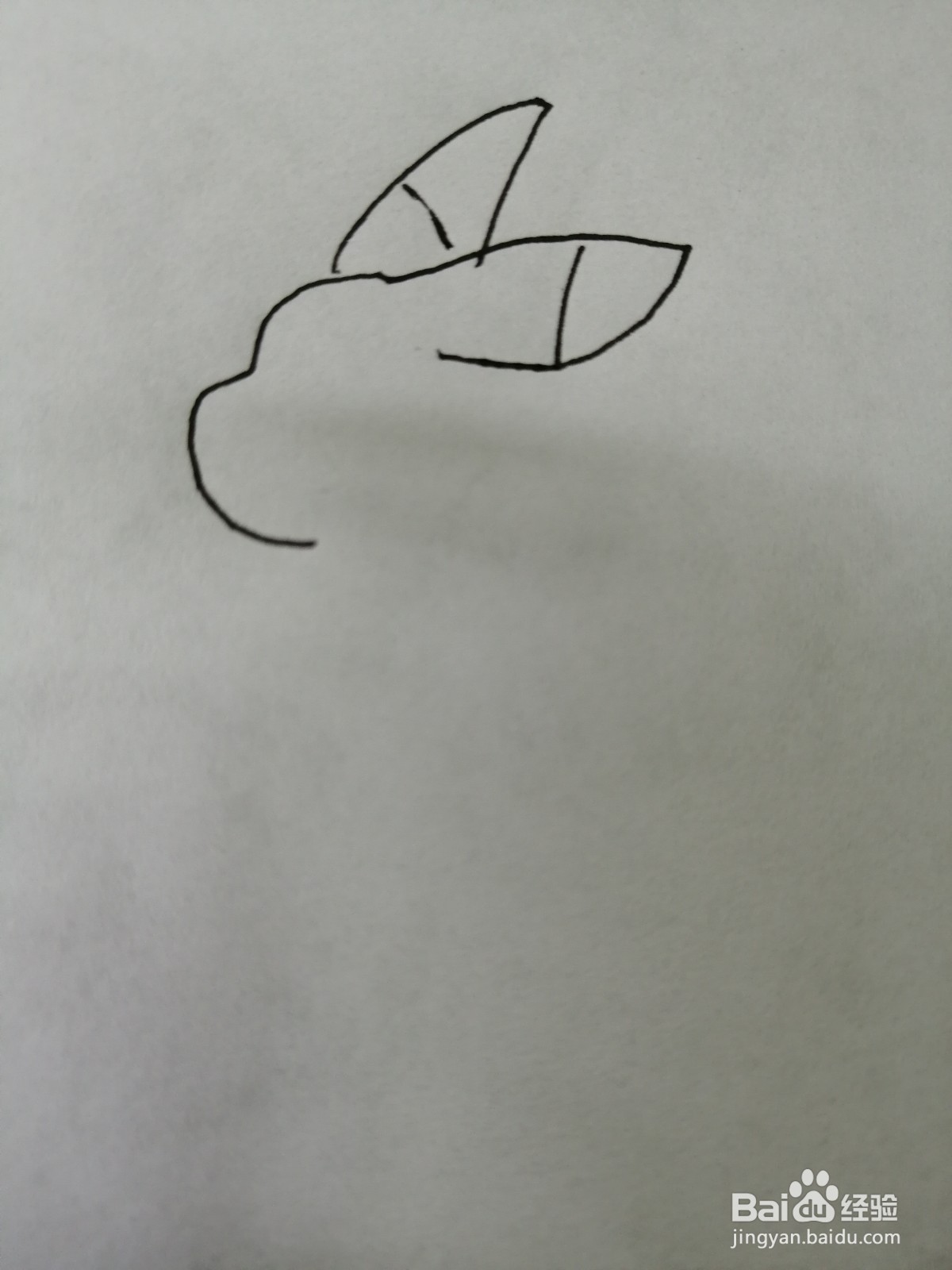 简笔画可爱的皮卡丘怎么画