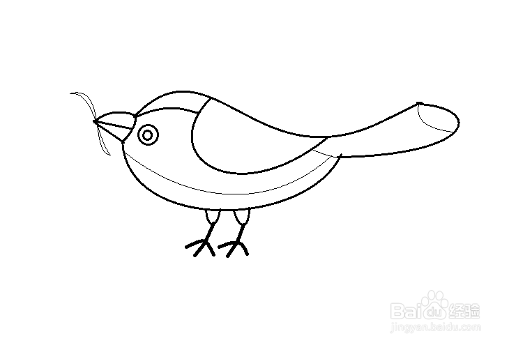鸟吃虫子简笔画图片