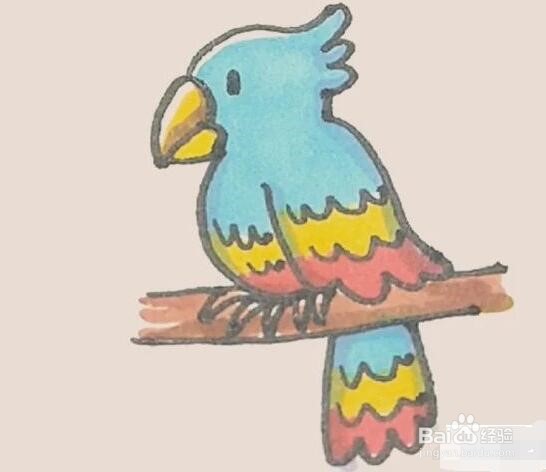 伴儿成长简笔画系列-怎样画鹦鹉简笔画