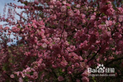 如何指导你的孩子写出主题正确的作文