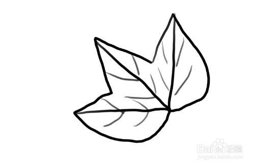 植物简笔画，怎么画枫叶
