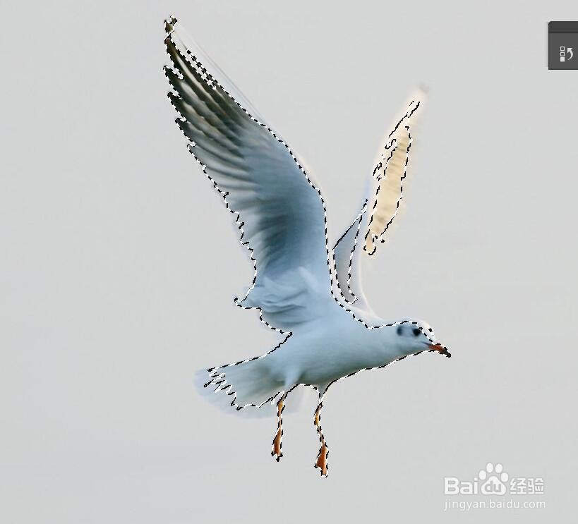 photoshop如何抠图