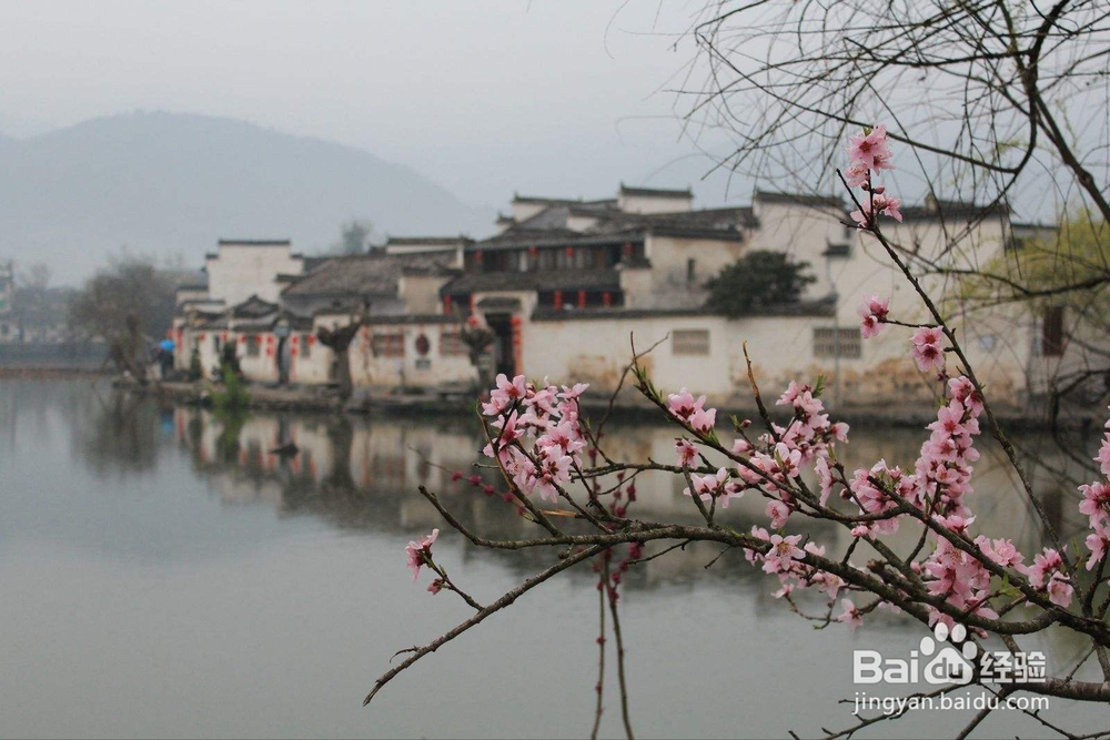 清明节和女友去哪里玩