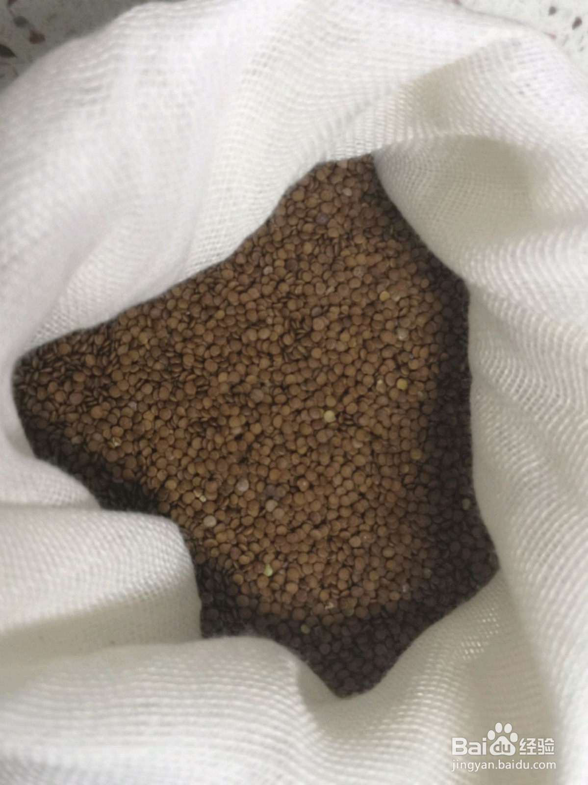 手搓红糖糍粑冰粉的做法