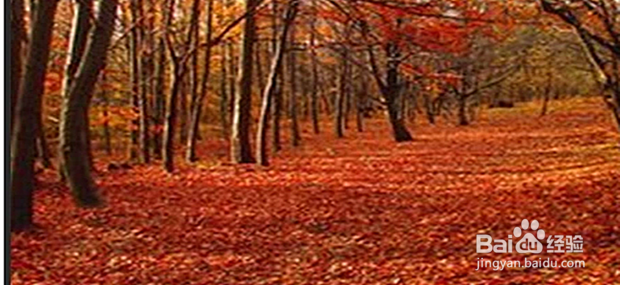 如何用PS如何去掉图片中的文字