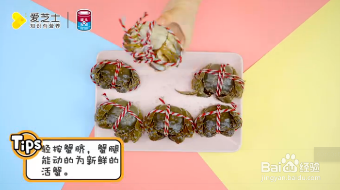 怎样挑选新鲜大闸蟹