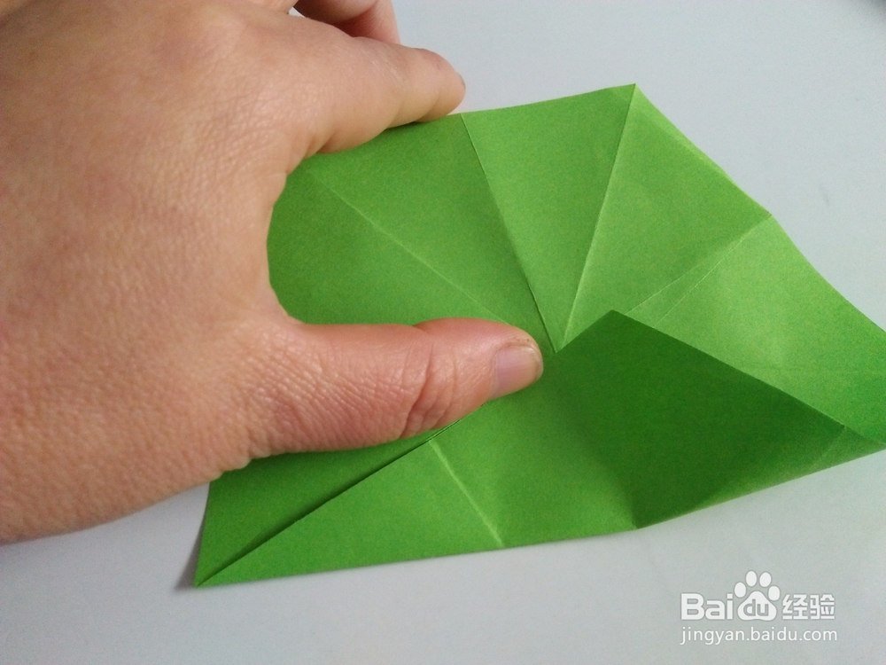 漂亮的杨桃花怎么折