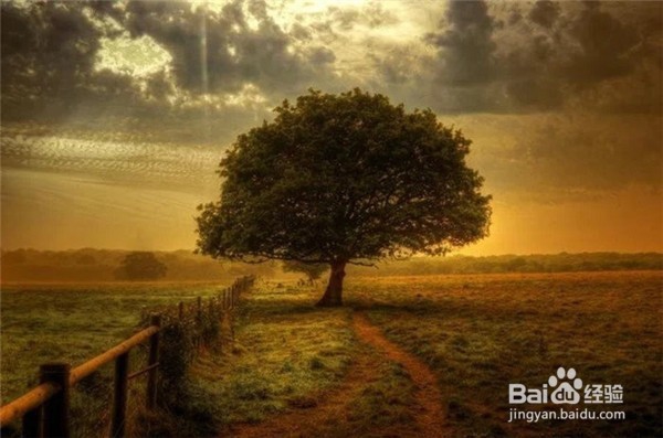 我们应当如何去交友？