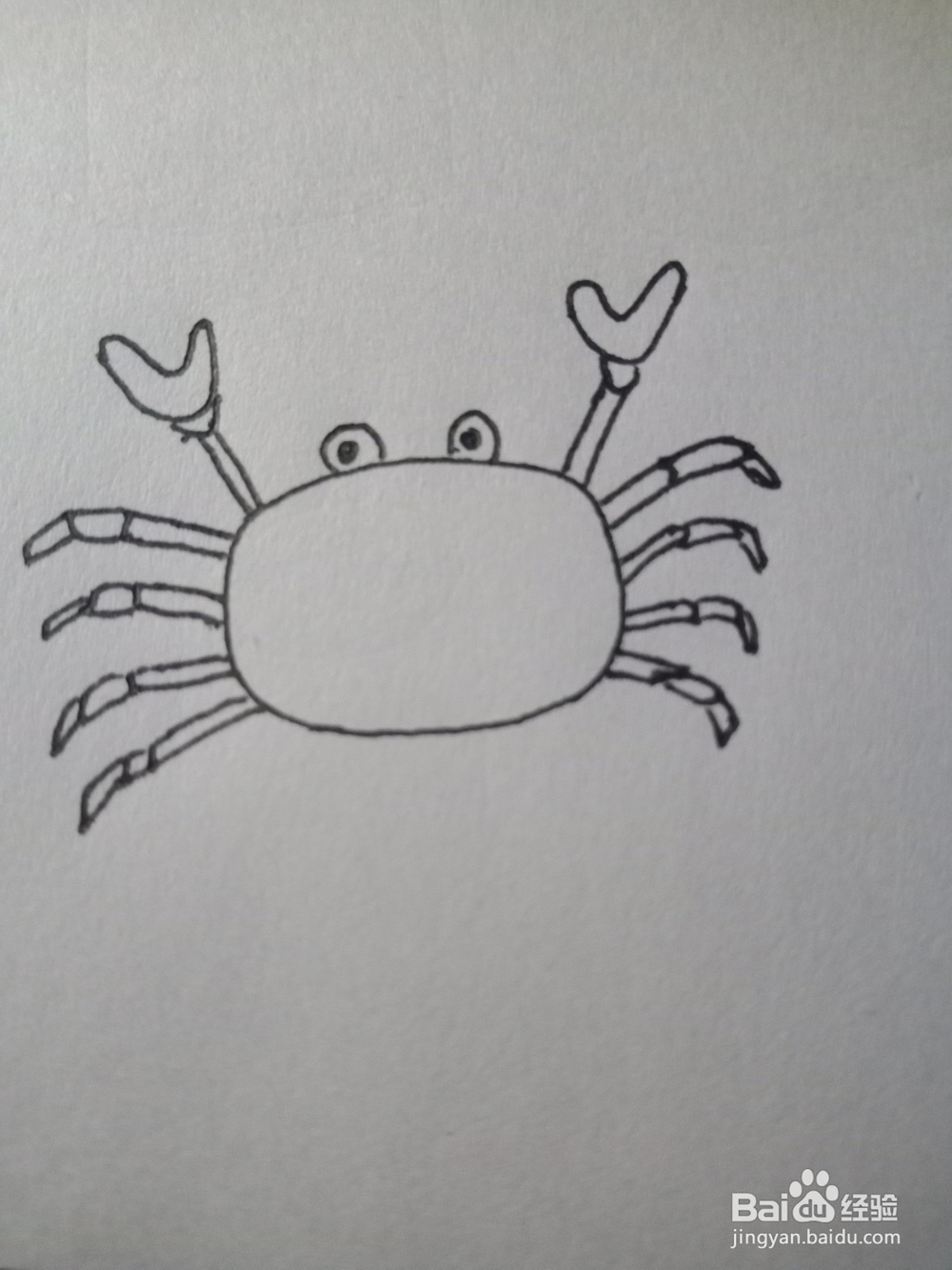 简笔画—简单画螃蟹
