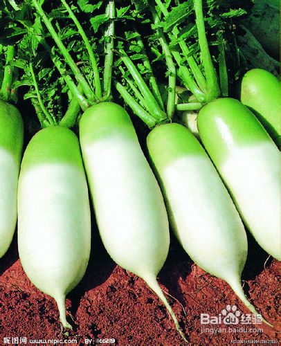 3种减大腿的食物