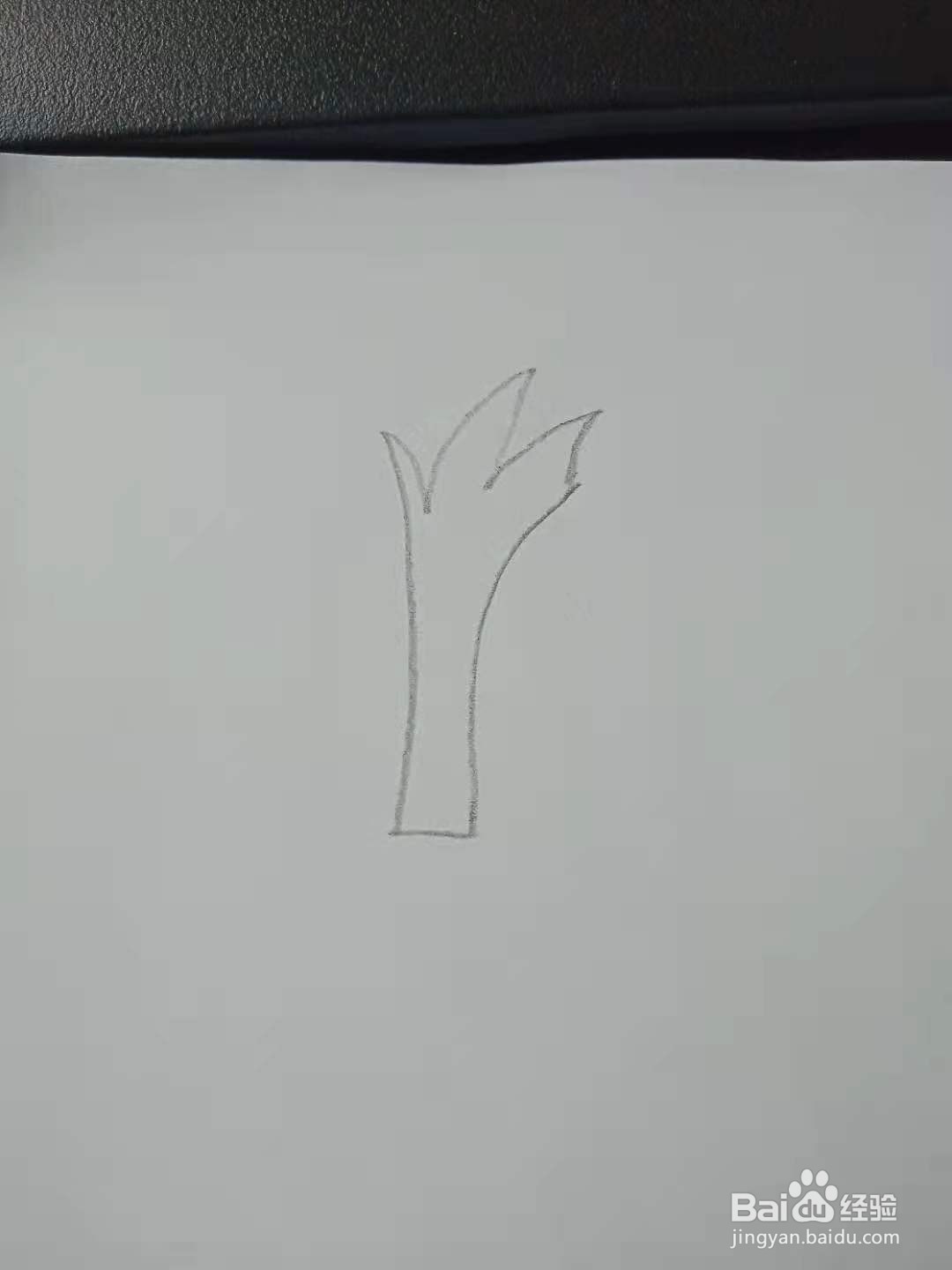 大树的创意简笔画