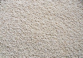 香味浓郁的芒果西米露