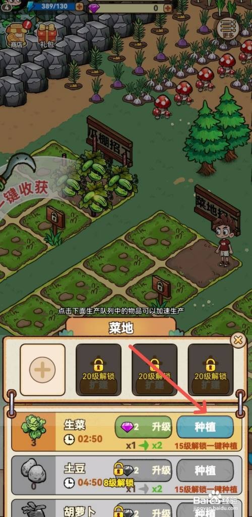 【史小坑】的爆笑生活种植生菜的方法