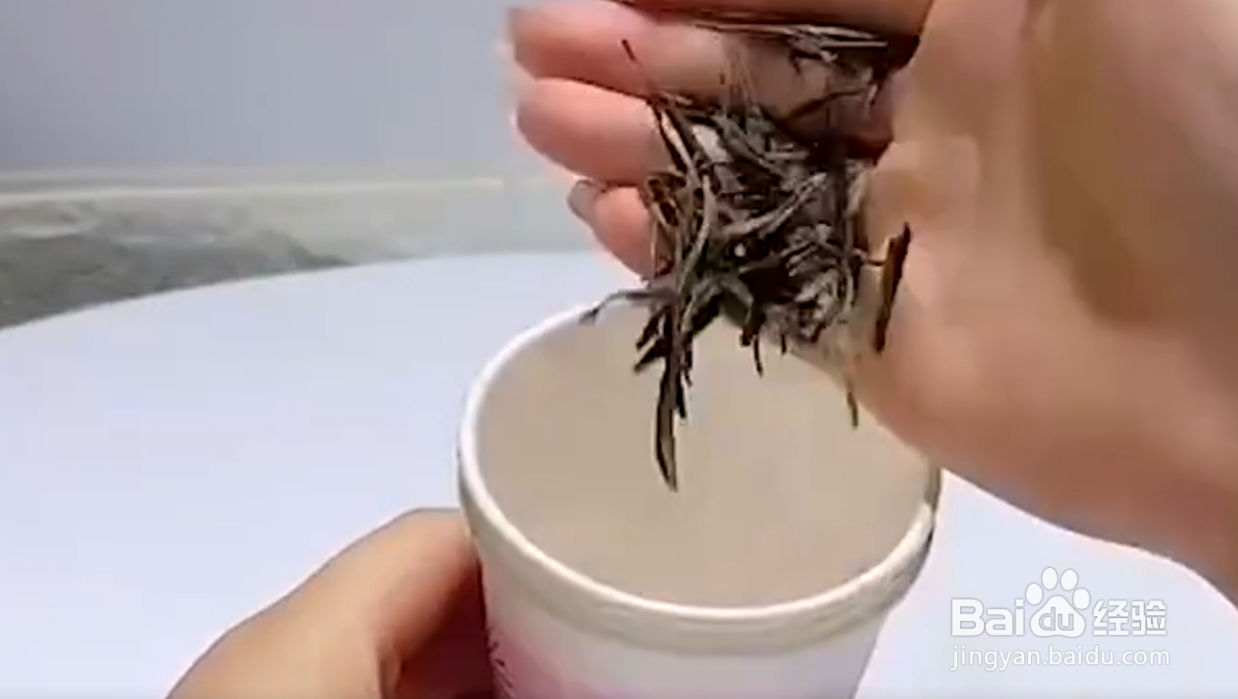 如何自制植物驱虫液？