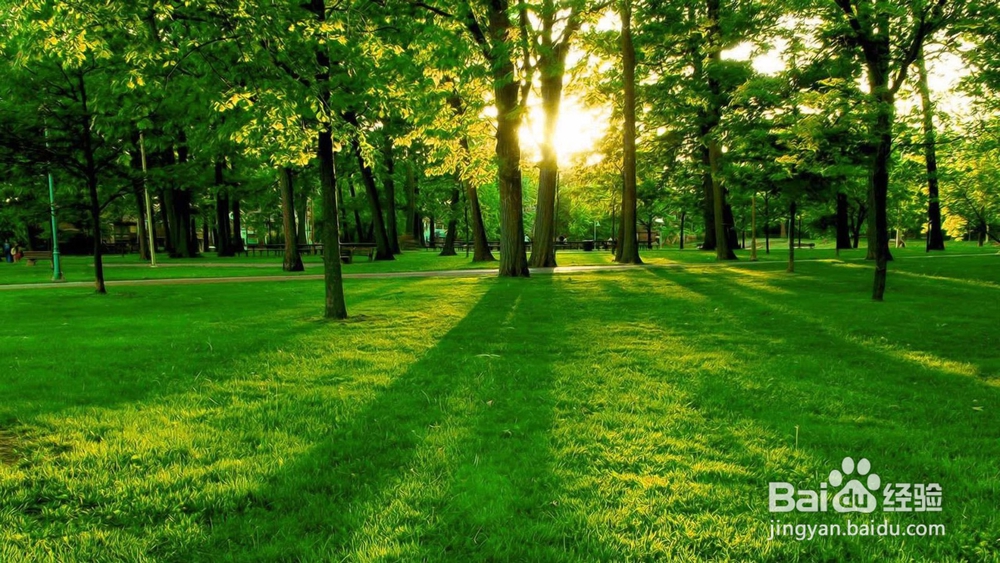 社交恐惧症越来越严重怎么办