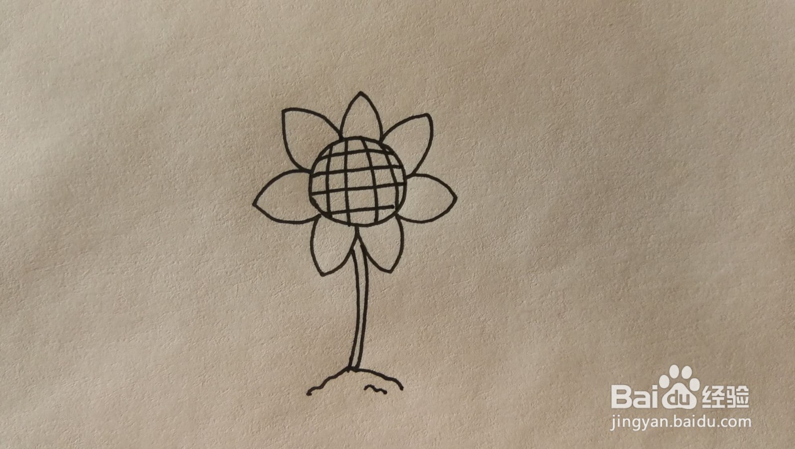 #经验分享官#向日葵简笔画