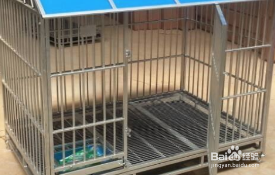 狗狗老乱咬家里东西怎么纠正